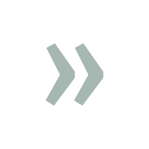 Icon: Zitat (grün)